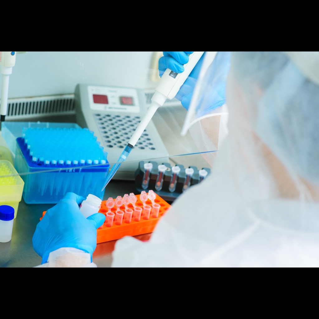 Human APOE genotypes ''ε2/ε3/ε4'' Real Time PCR Assay   24 reactions