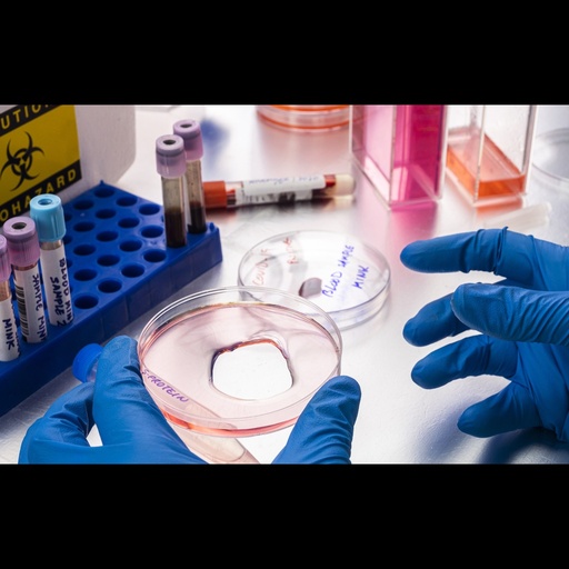 [0650-GFPB-0.5MG] Green fluorescent protein ''GFP'', biotin   0.5 mg